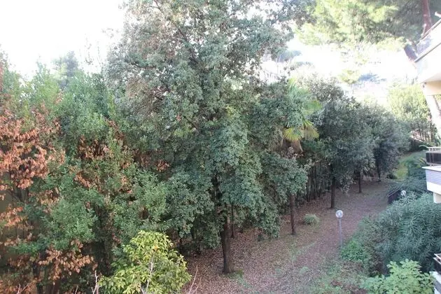 Tek Büyük Yataklı Oda, Banyolu/Duşlu