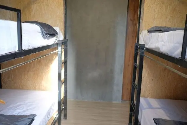 12-Bed Mixed Dormitory Room