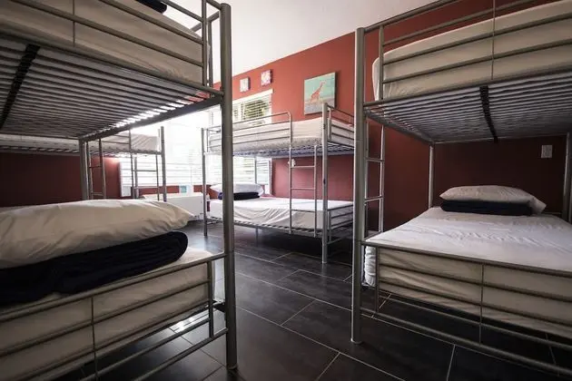 Ortak Ranzalı Oda, 1 Tek Kişilik Yatak (Mixed, Eight Bed Dormitory)