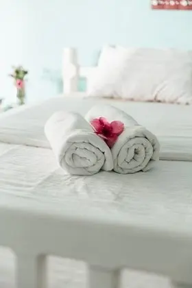 Deluxe Tek Büyük Yataklı Oda, 1 En Büyük (King) Boy Yatak, Sigara İçilmez, Plaj Manzaralı