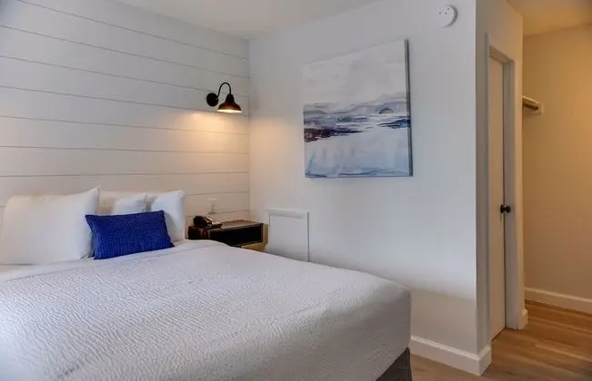 Deluxe Oda, 1 Büyük (Queen) Boy Yatak