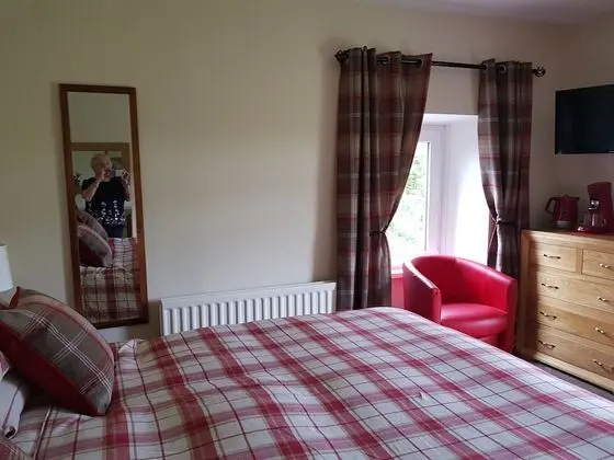 King Room, Garden View (The Tartan Room)