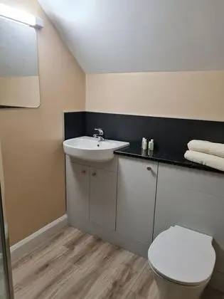 Tek Büyük veya İki Ayrı Yataklı Oda, Banyolu/Duşlu (The Ash)