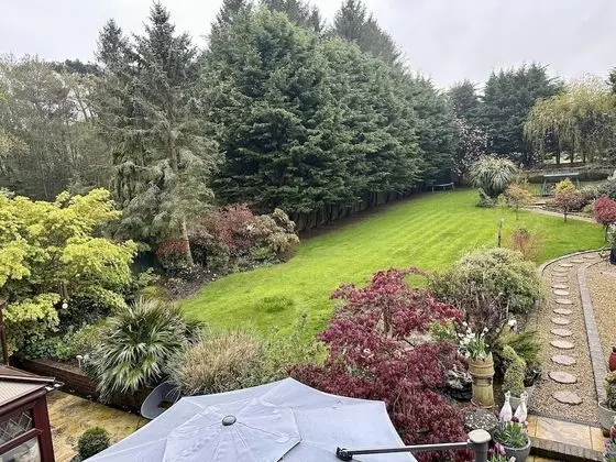 İki Ayrı Yataklı Oda, Banyolu/Duşlu (Woodpecker Room)