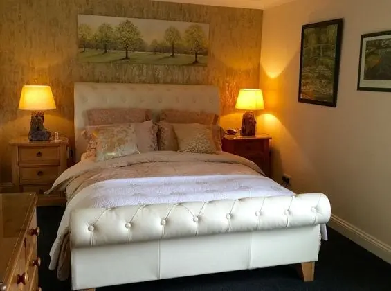 Tek Büyük Yataklı Oda, Banyolu/Duşlu (Kingfisher Room)