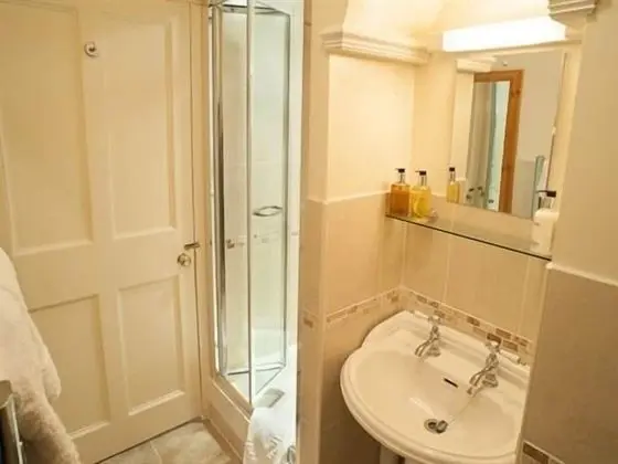Tek Büyük Yataklı Oda, Banyolu/Duşlu (Room 3)