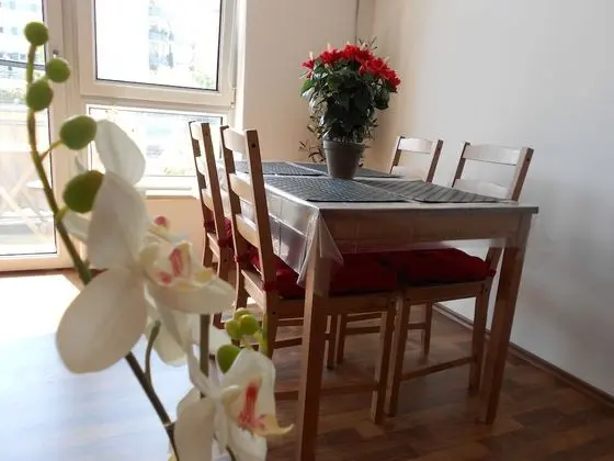 Stüdyo, 1 Çift Kişilik Yatak ve Çekyat, Balkon (incl. EUR 25 cleaning fee)