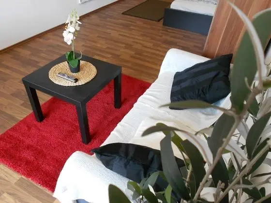 Stüdyo, 1 Çift Kişilik Yatak ve Çekyat, Balkon (incl. EUR 25 cleaning fee)