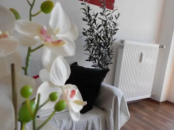 Stüdyo, 1 Çift Kişilik Yatak ve Çekyat, Balkon (incl. EUR 25 cleaning fee)