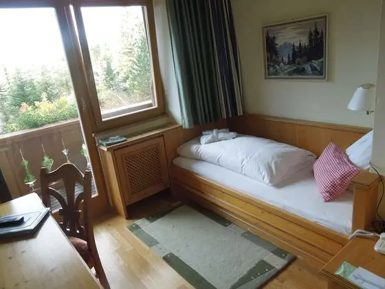 Tek Kişilik Oda, Balkon, Manzaralı (Edelweiss)
