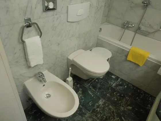 Tek Kişilik Oda, Balkon, Manzaralı (Edelweiss)