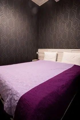 Superior Tek Büyük Yataklı Oda, Şehir Manzaralı