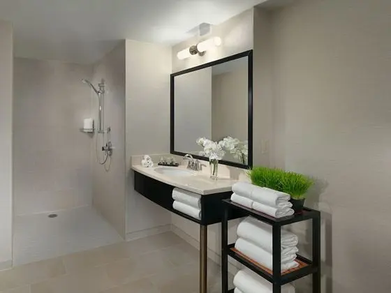 1 DBL Bed, Mobility and Hearing Impaired Access Room, Roll-In Shower, Non Smoking