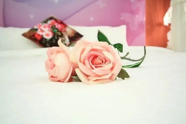 Romantic Tek Büyük Yataklı Oda