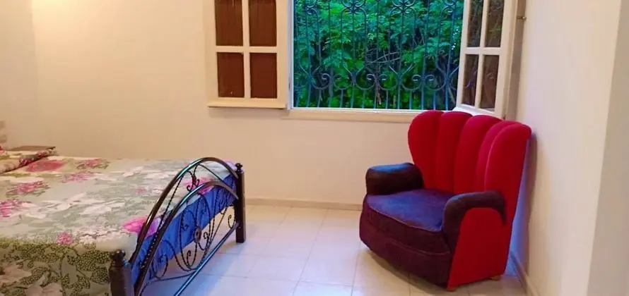 Classic Tek Büyük Yataklı Oda, 1 Büyük (Queen) Boy Yatak, Sigara İçilmez