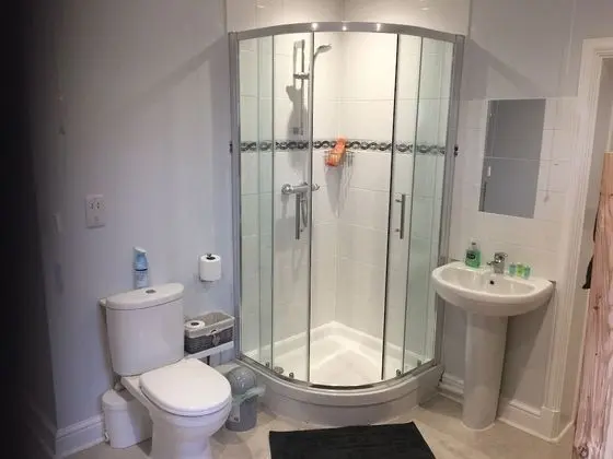 Standard Tek Büyük Yataklı Oda, Özel Banyo
