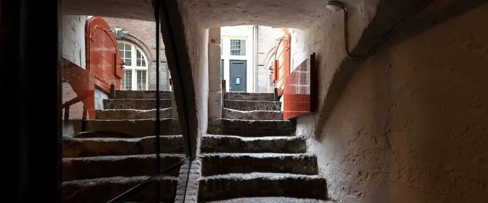 Süit (Cellar)