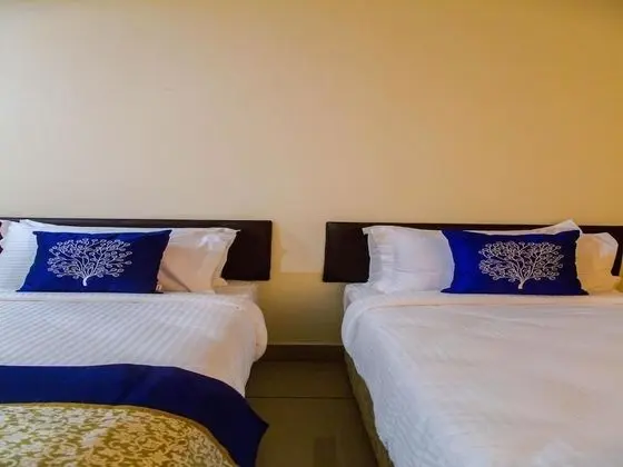 Standard Tek Büyük Yataklı Oda, 1 Çift Kişilik Yatak, Şehir Manzaralı