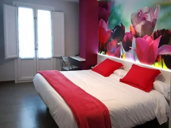 Tek Büyük Yataklı Oda, Balkon