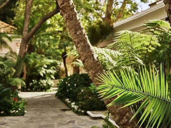 Executive Villa