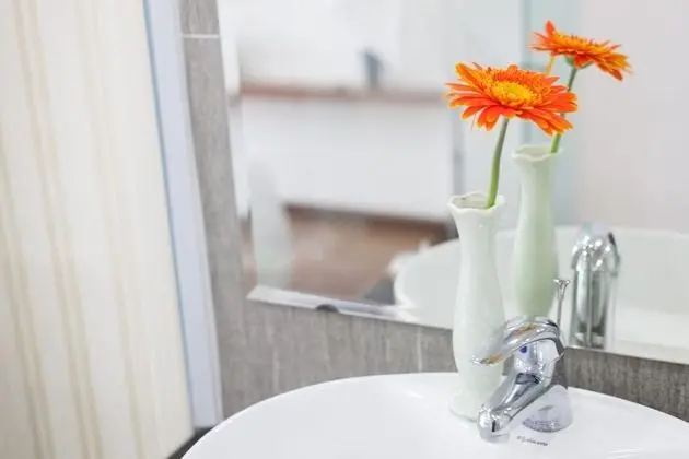 Deluxe İki Ayrı Yataklı Oda, Şehir Manzaralı