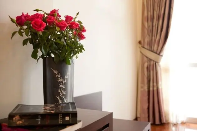 Deluxe Tek Büyük Yataklı Oda, Şehir Manzaralı