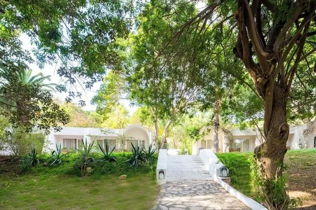 Bungalow Single Garden View