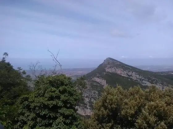 Traditional Tek Büyük Yataklı Oda