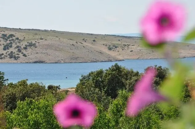 Apart Daire (Bela - sea view - A2(2+2))