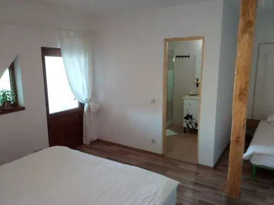 Superior Tek Büyük veya İki Ayrı Yataklı Oda, Özel Banyo, Üzüm Asması Manzaralı