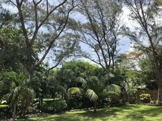 Belize Budget Suites #01