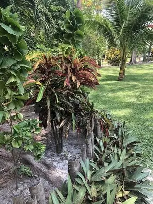 Belize Budget Suites #01