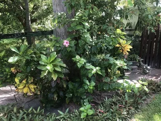 Belize Budget Suites #01