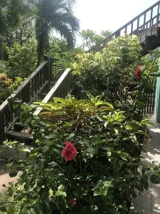 Belize Budget Suites #01
