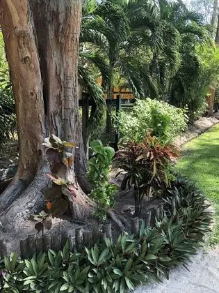 Belize Budget Suites #01