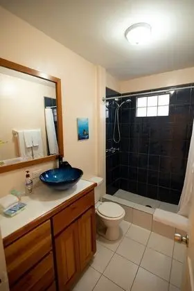Deluxe Apart Daire, 1 En Büyük (King) Boy Yatak, Sigara İçilmez, Mutfak