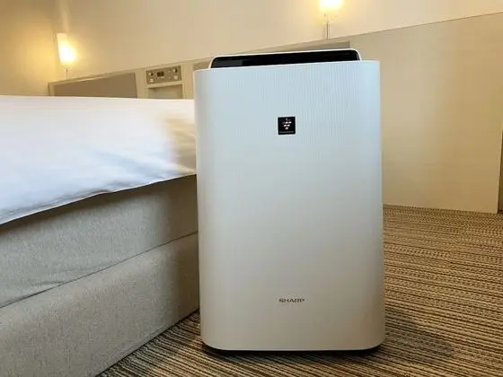Tek Büyük Yataklı Oda, Sigara İçilmez (No Extra Bed)
