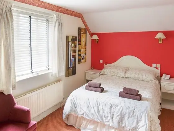 Tek Büyük Yataklı Oda, Banyolu/Duşlu