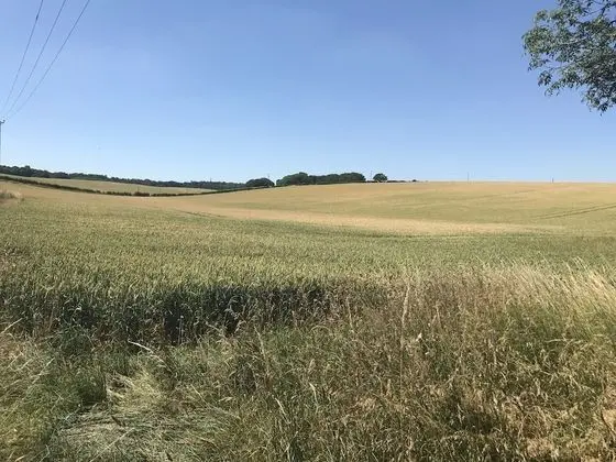 Tek Kişilik Oda, 1 Tek Kişilik Yatak, Banyolu/Duşlu