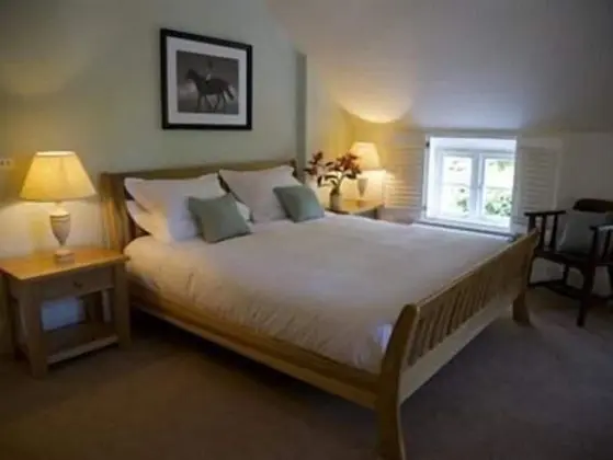 Executive Tek Büyük Yataklı Oda