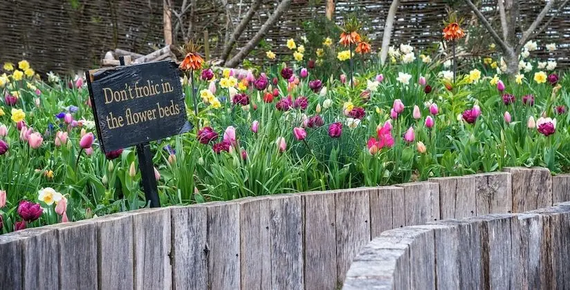 Classic Tek Büyük Yataklı Oda