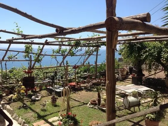 Stüdyo, Bahçe Manzaralı