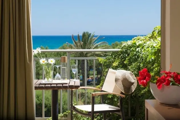 Tek Büyük Yataklı Oda, Bahçe Manzaralı (or Pool View)
