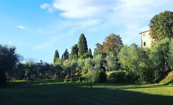 Panoramic Oda, 1 En Büyük (King) Boy Yatak, Executive Katı