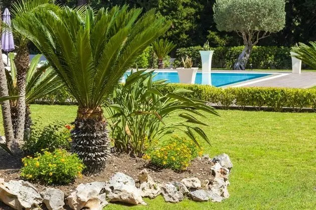 Exclusive Villa