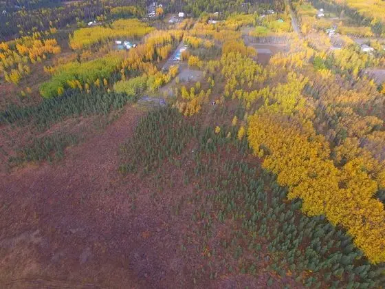 Deluxe Kulübe, 1 Yatak Odası