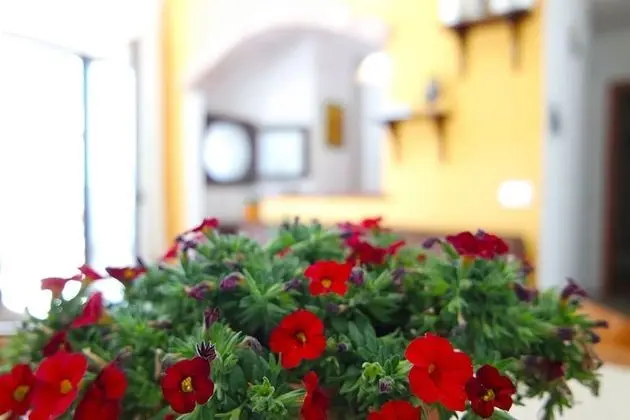 Ev, 1 Yatak Odası, Vadi Manzaralı