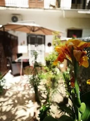 Camera Deluxe  con giardino Capo