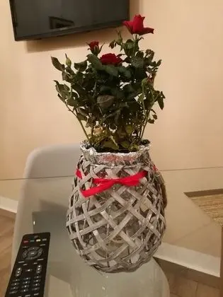 Camera Deluxe  con giardino Capo