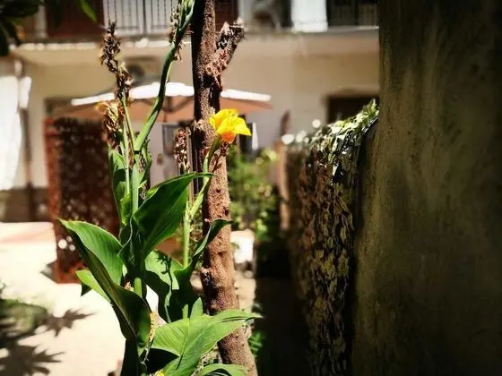 Camera Deluxe con giardino Vucciria